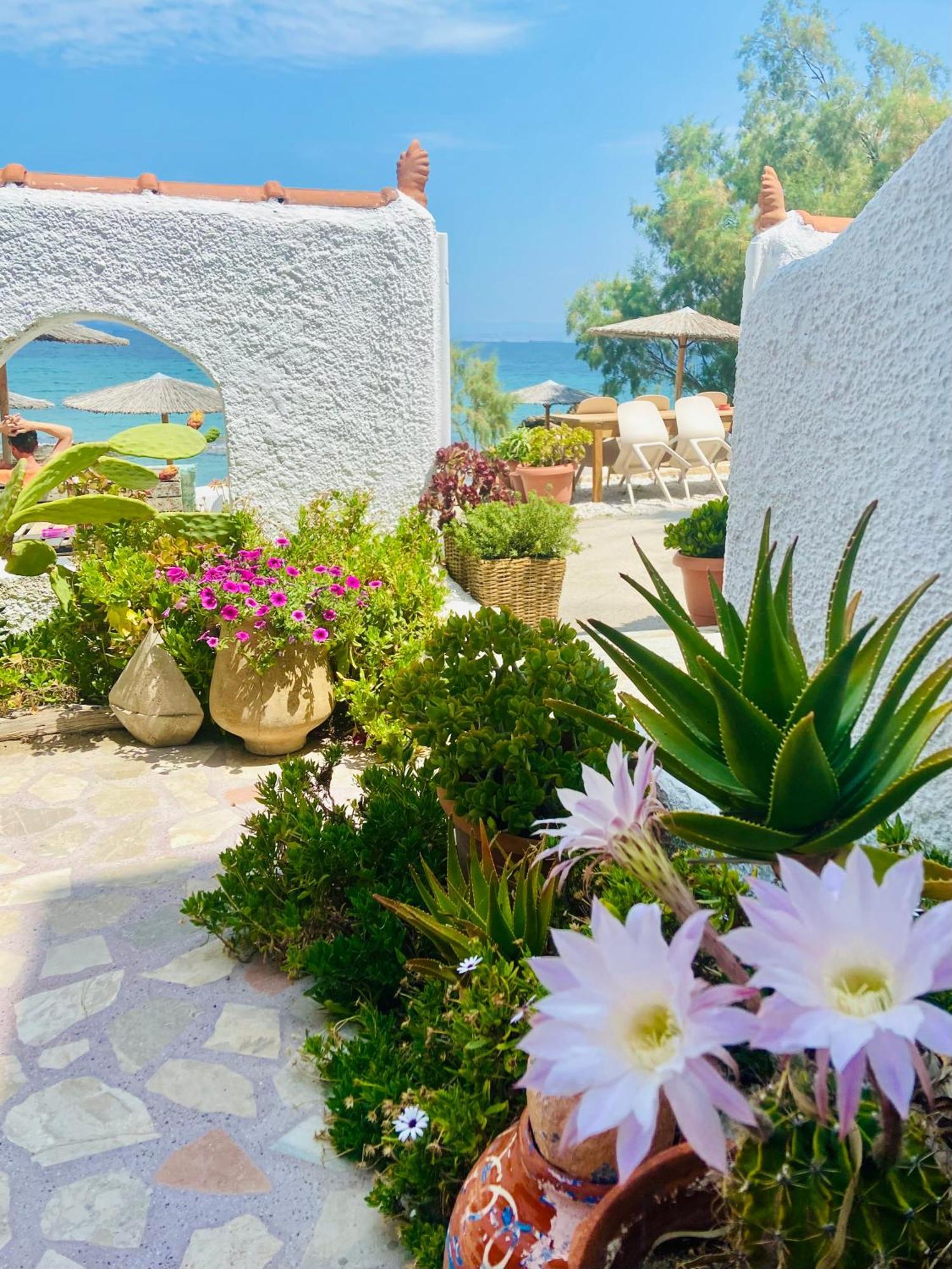 The Beachhouse Apartments Вайя Экстерьер фото